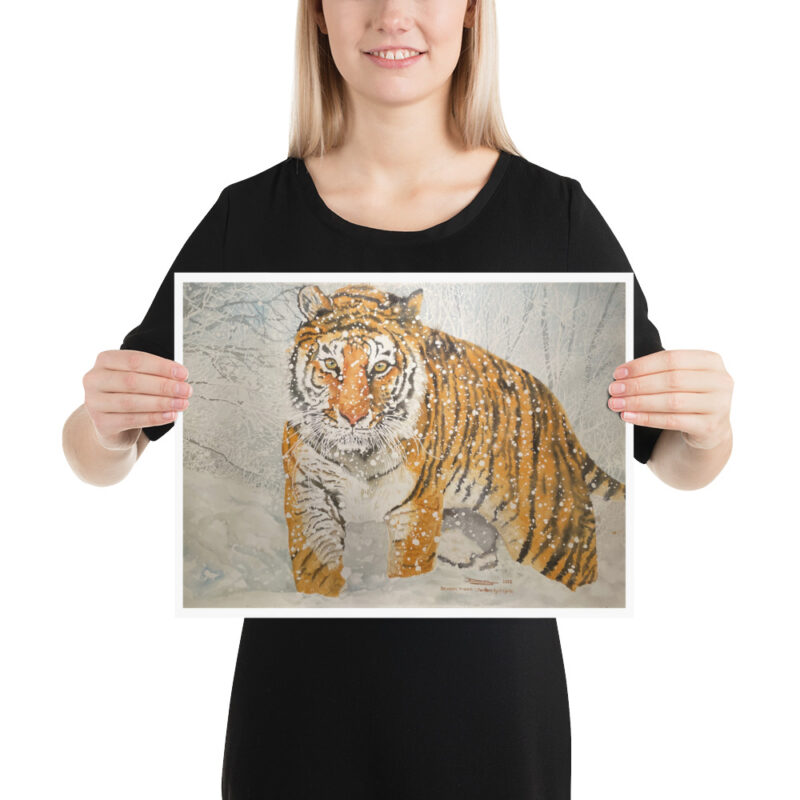 Poster - Image 5