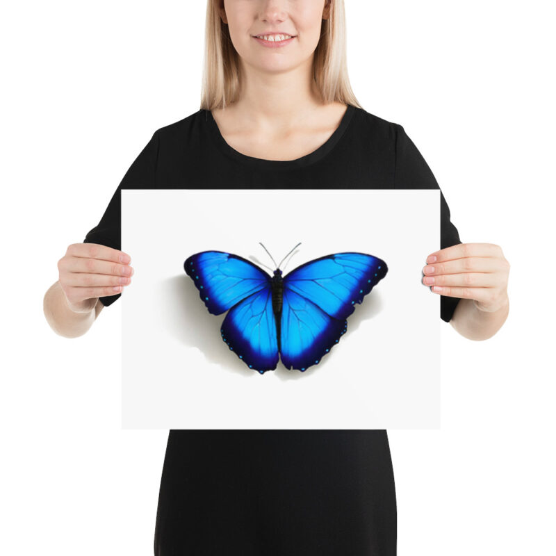 Poster, morpho butterfly, (Morpho peleides) - Image 5