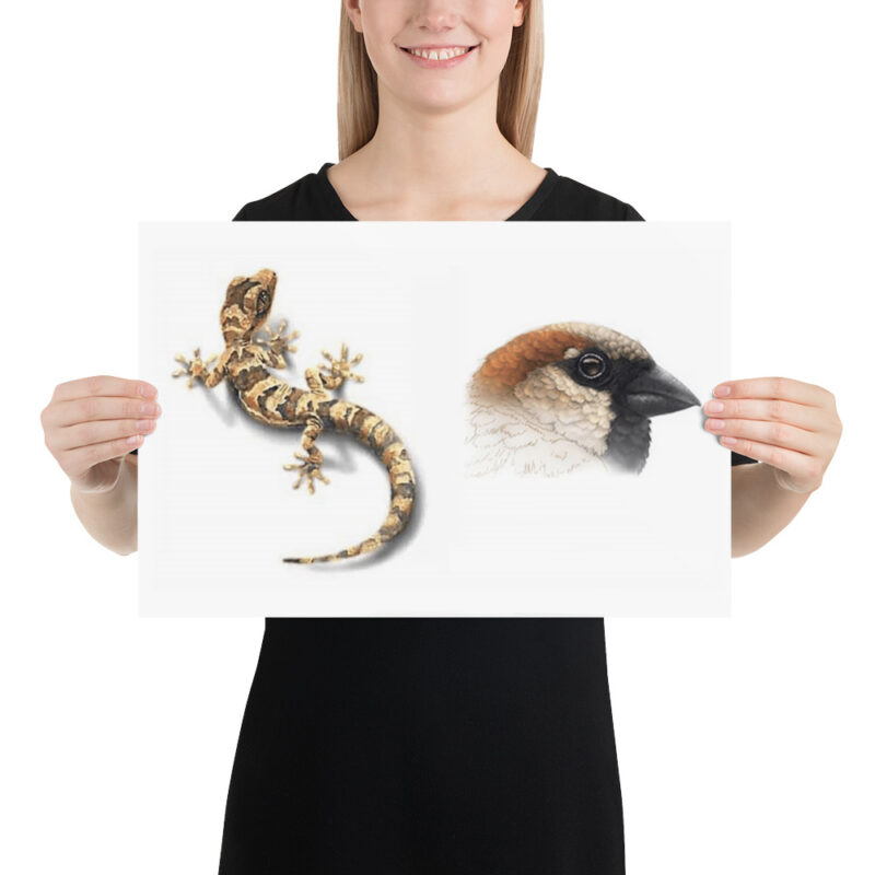 Poster, Geck and Sparrow - Image 6