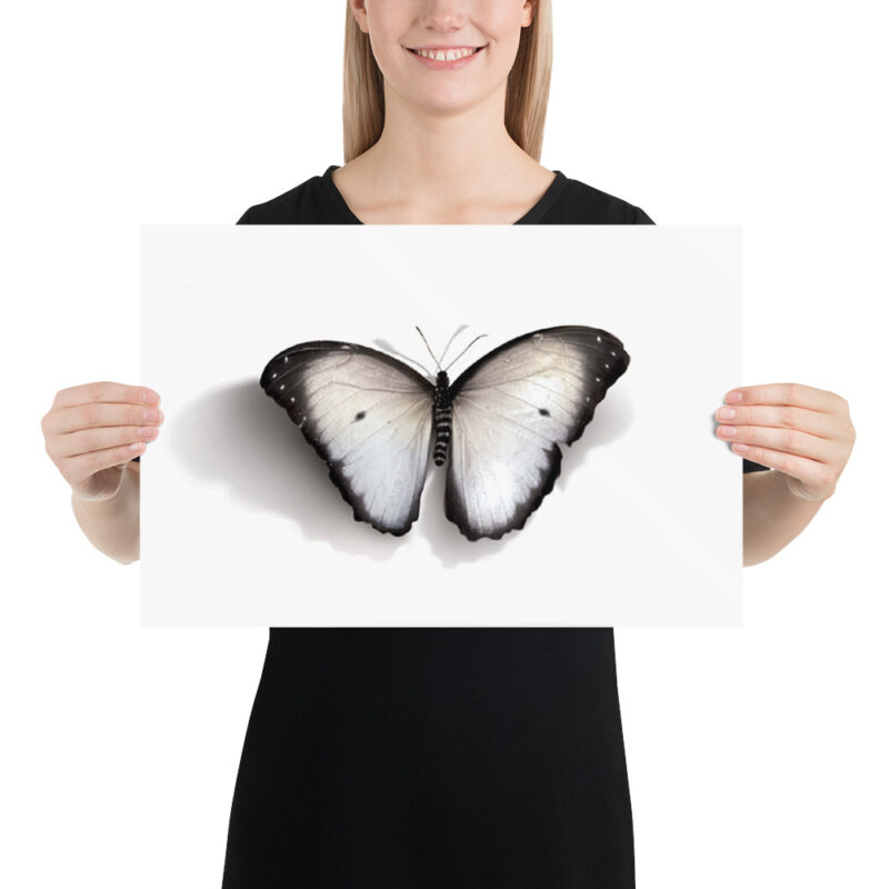 Poster, white butterfly (Pieris rapae) - Image 6