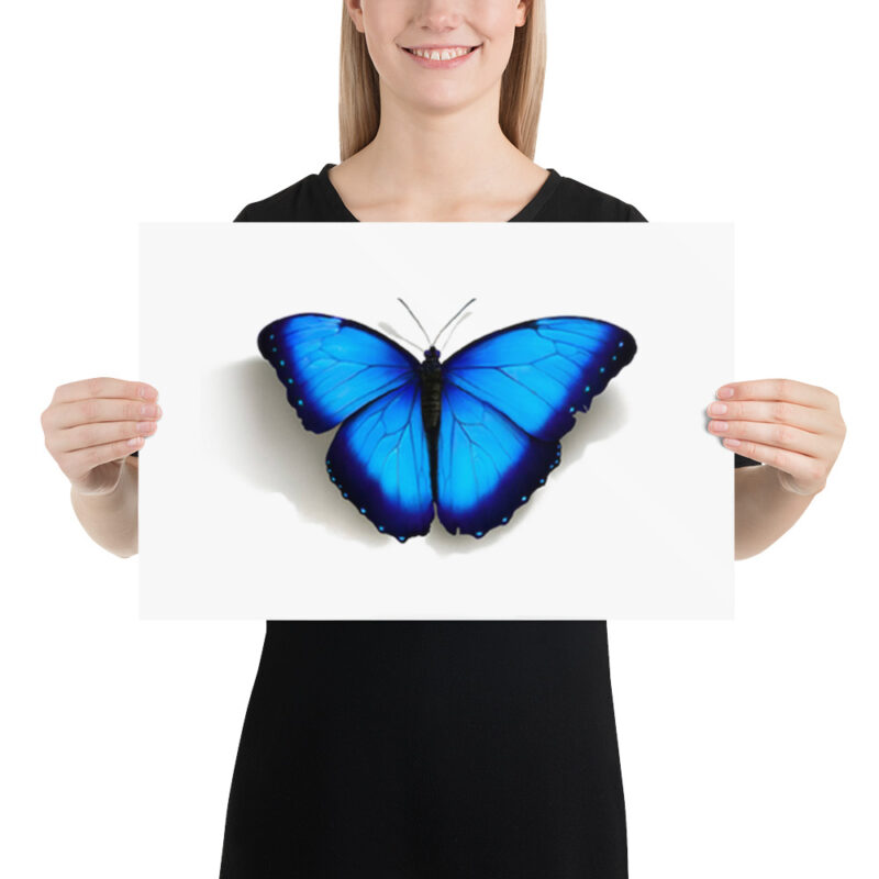 Poster, morpho butterfly, (Morpho peleides) - Image 6