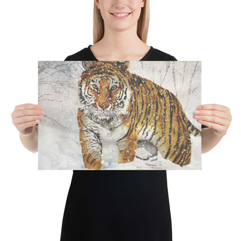Poster, bengal tiger, (Panthera tigris tigris) - Image 6