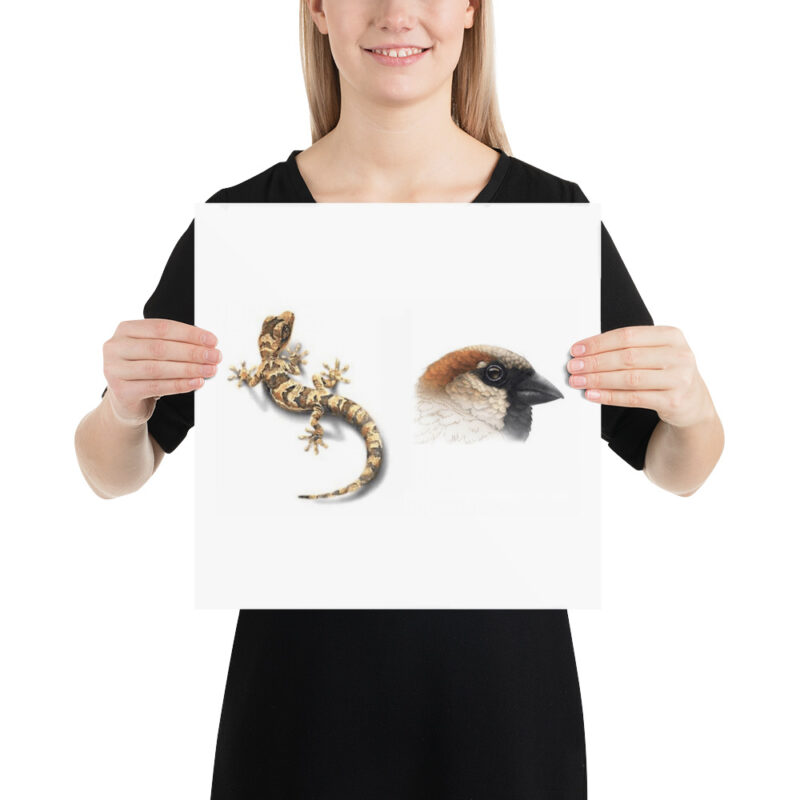 Poster, Geck and Sparrow - Image 7