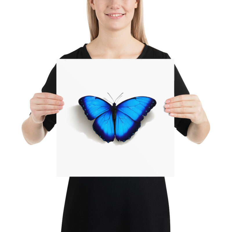 Poster, morpho butterfly, (Morpho peleides) - Image 7