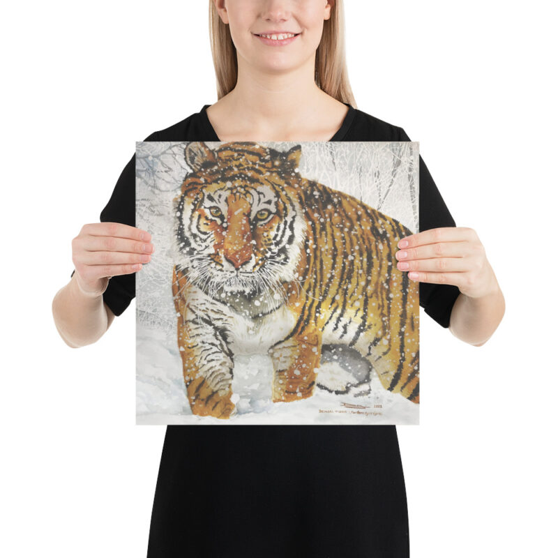 Poster, bengal tiger, (Panthera tigris tigris) - Image 7