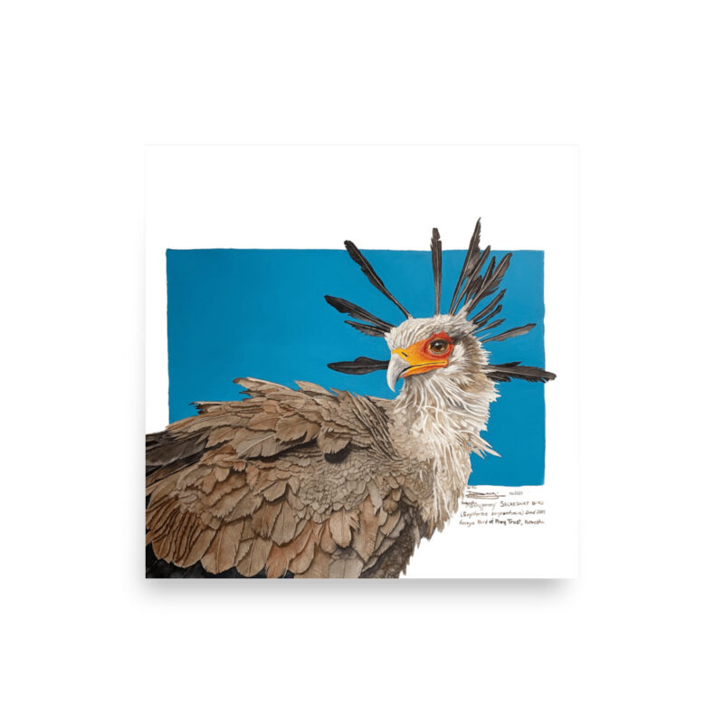 Poster, "Moneypenny" the secretary bird, (Sagitarius serpentanius) - Image 10