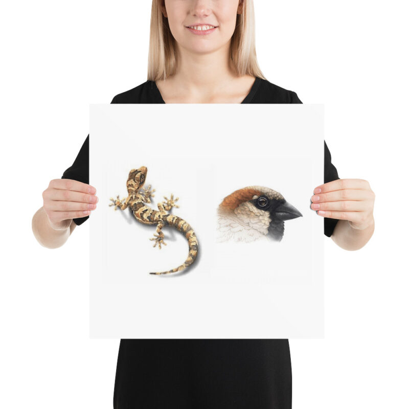 Poster, Geck and Sparrow - Image 8