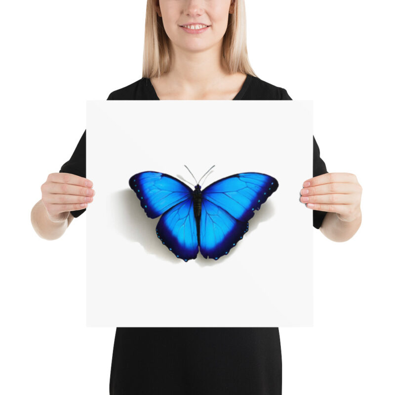 Poster, morpho butterfly, (Morpho peleides) - Image 8