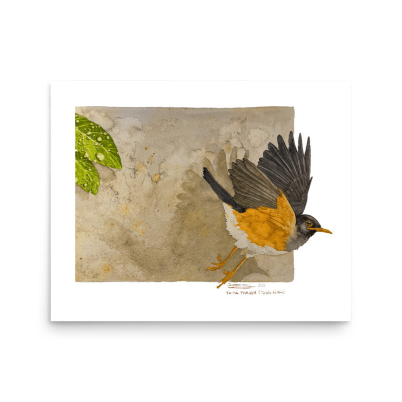 Poster - Image 6