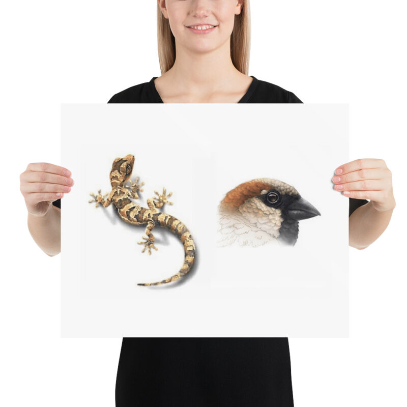 Poster, Geck and Sparrow - Image 9