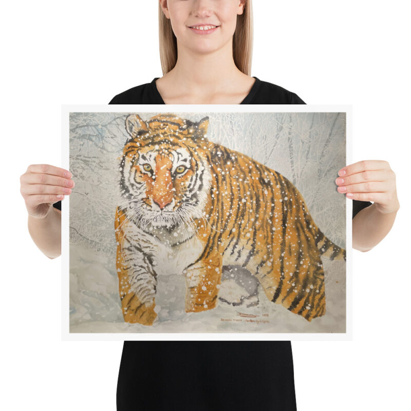 Poster - Image 9