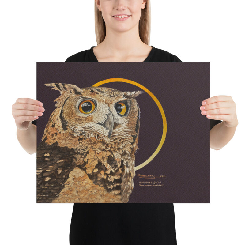 Poster ,Mackinder's eagl eowl - Image 9