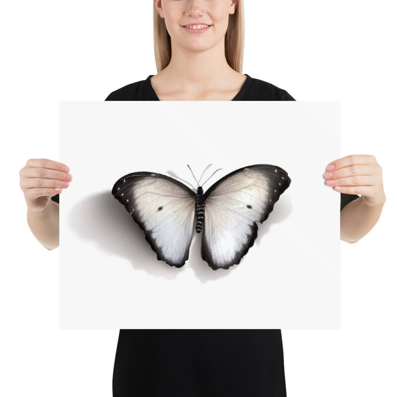 Poster, white butterfly (Pieris rapae) - Image 9