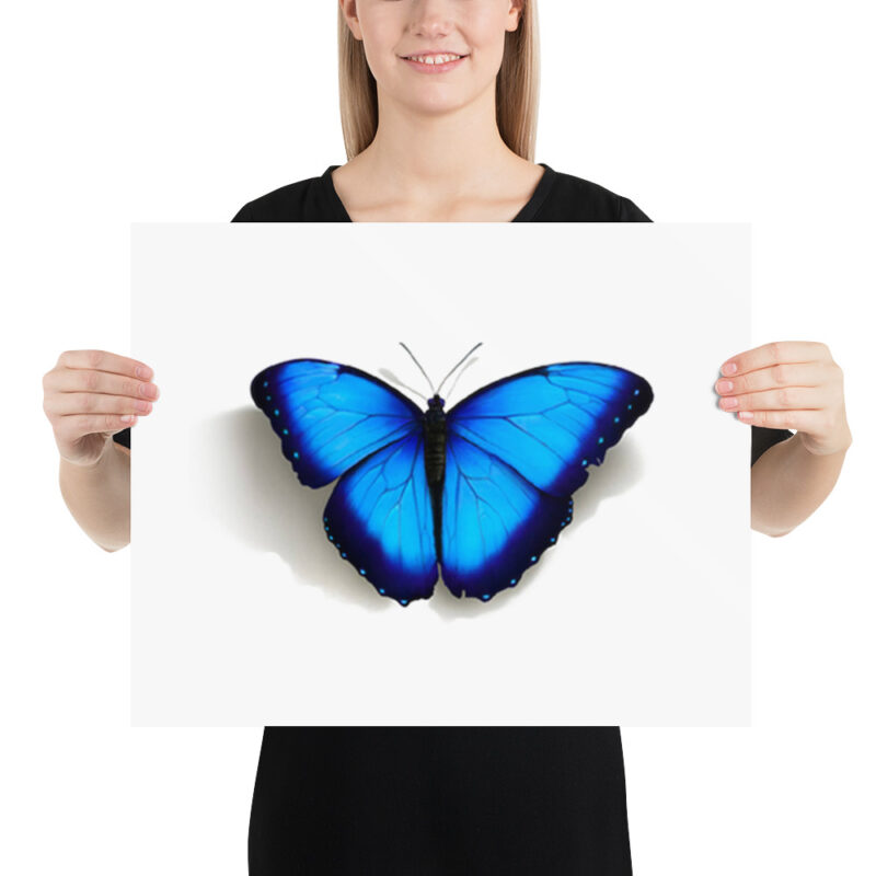 Poster, morpho butterfly, (Morpho peleides) - Image 9