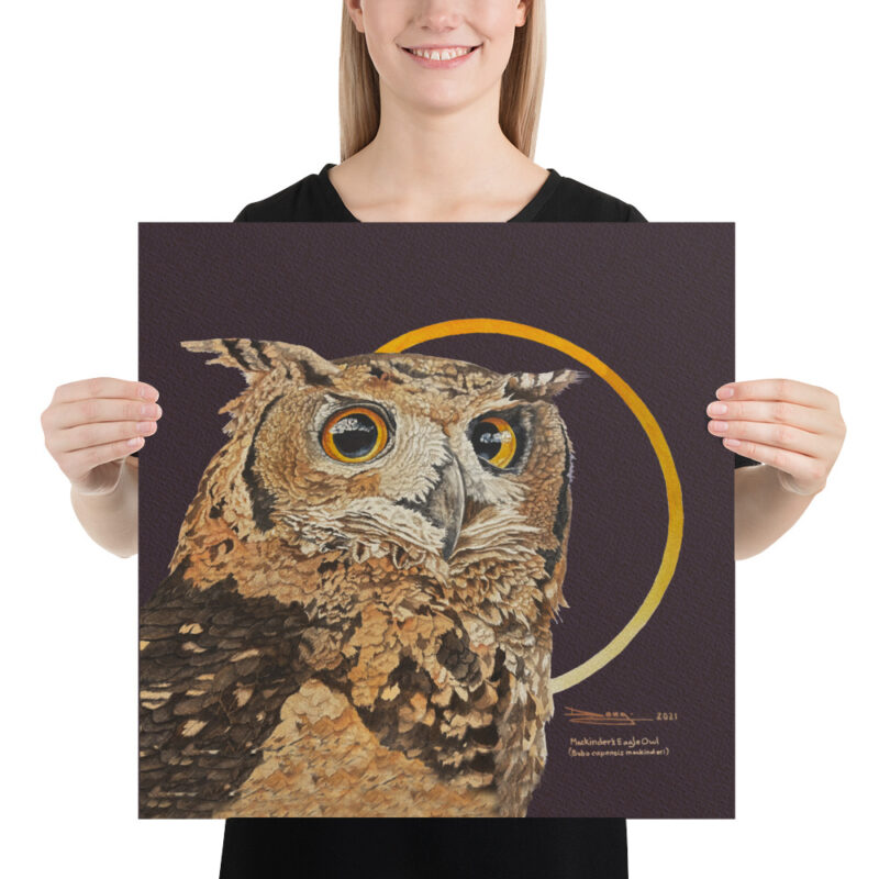 Poster ,Mackinder's eagl eowl - Image 10