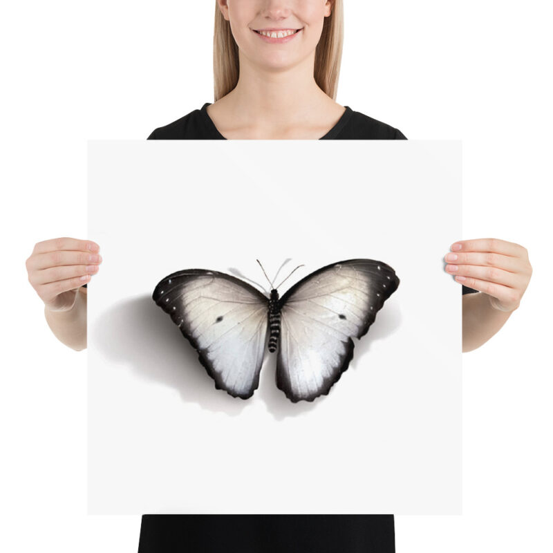 Poster, white butterfly (Pieris rapae) - Image 10