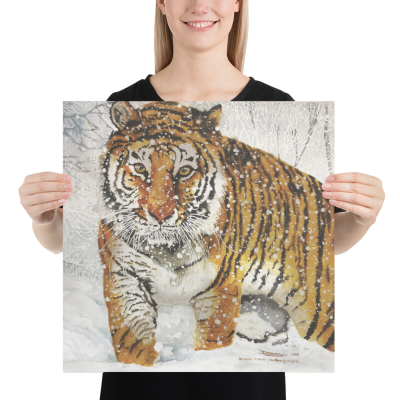 Poster, bengal tiger, (Panthera tigris tigris) - Image 10