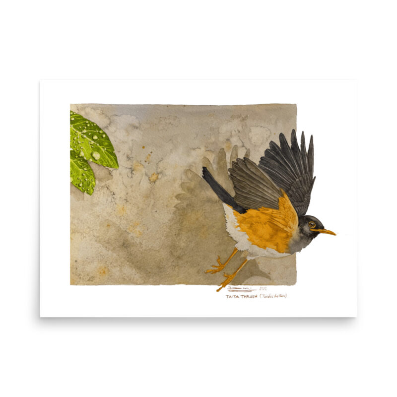 Poster - Image 7