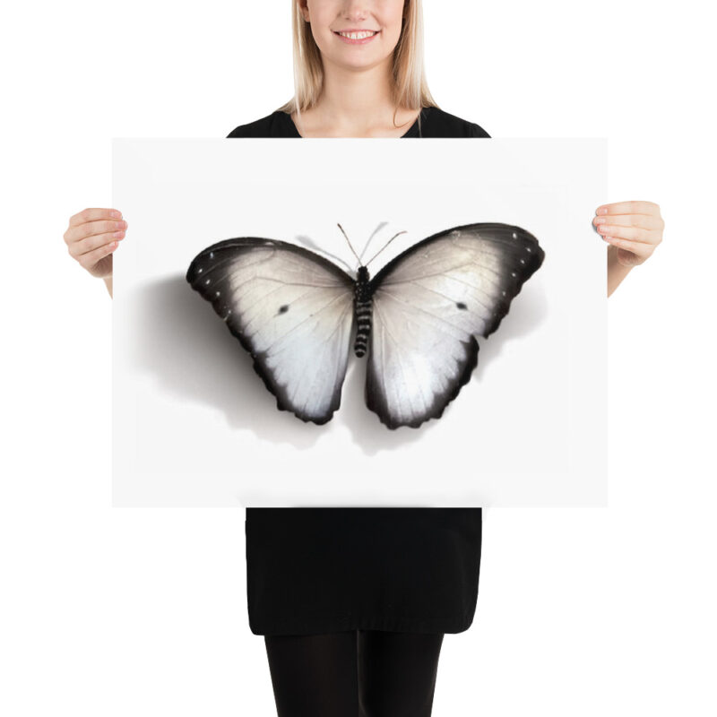 Poster - Image 11