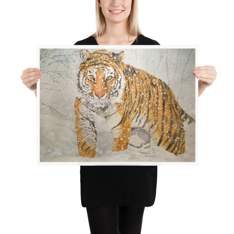 Poster - Image 11