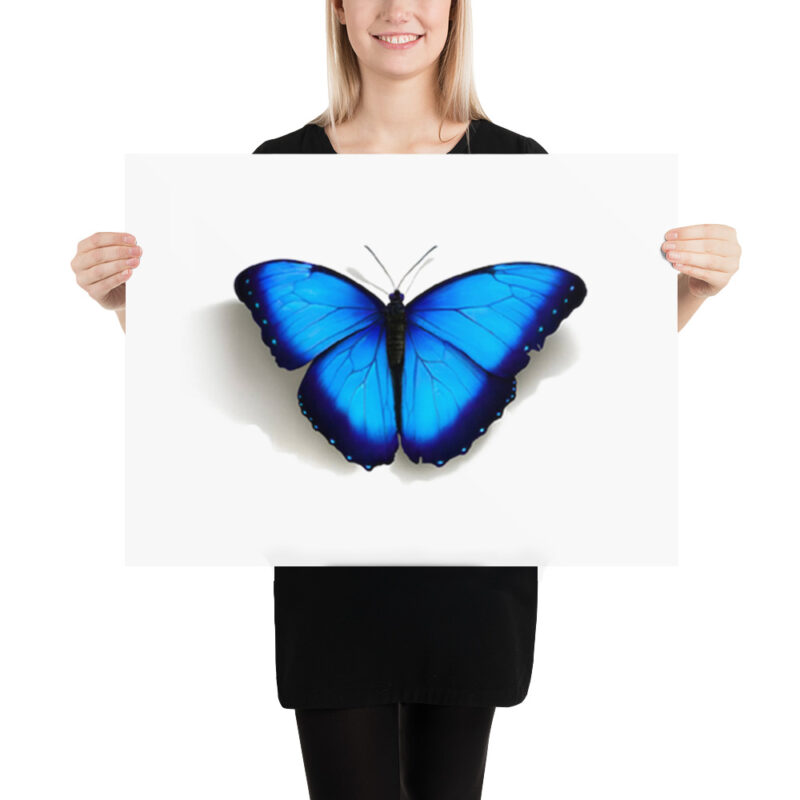 Poster, morpho butterfly, (Morpho peleides) - Image 11