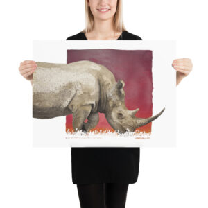 Poster, black rhino, (Diceros bicornis)