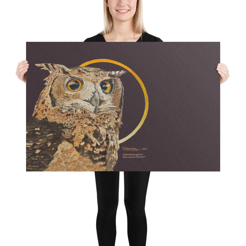 Poster ,Mackinder's eagl eowl - Image 11