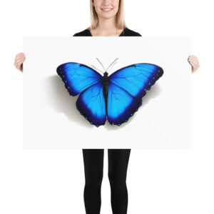 Poster, morpho butterfly, (Morpho peleides)