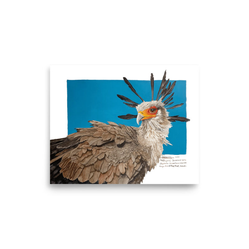 Poster, "Moneypenny" the secretary bird, (Sagitarius serpentanius) - Image 14