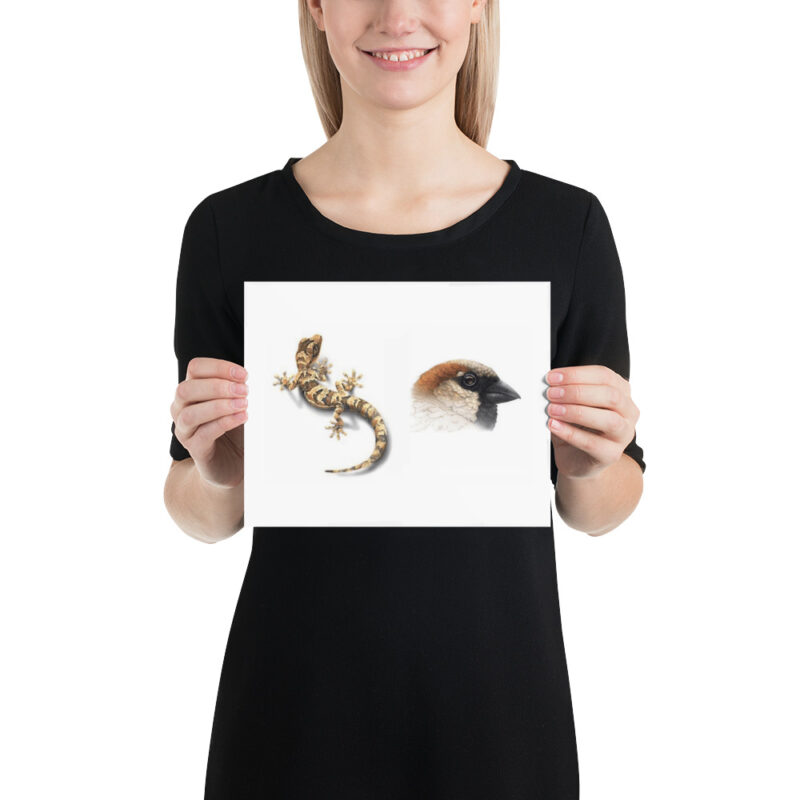 Poster, Geck and Sparrow - Image 10