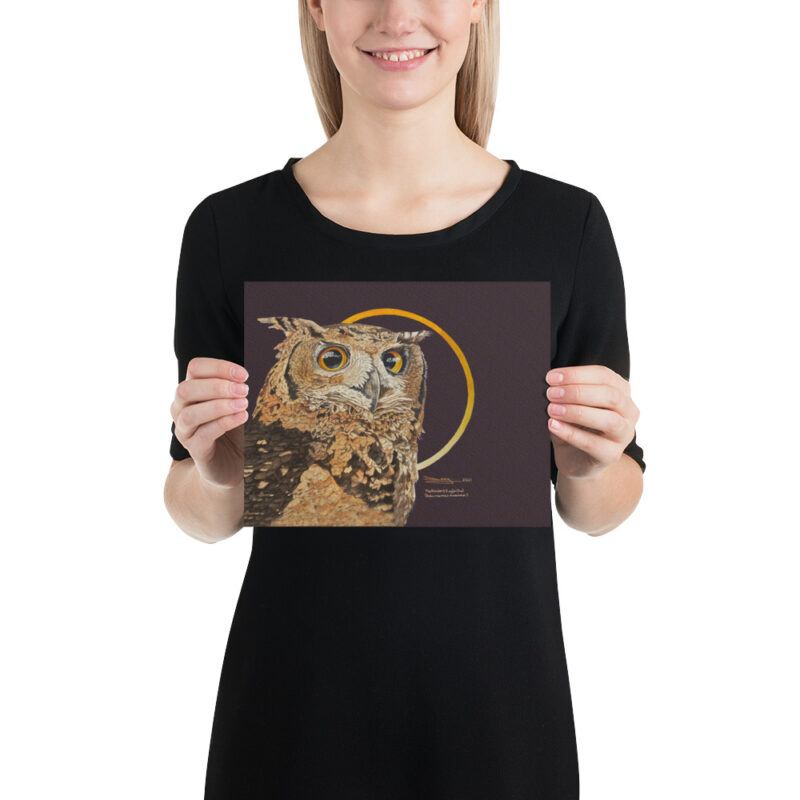 Poster ,Mackinder's eagl eowl - Image 12