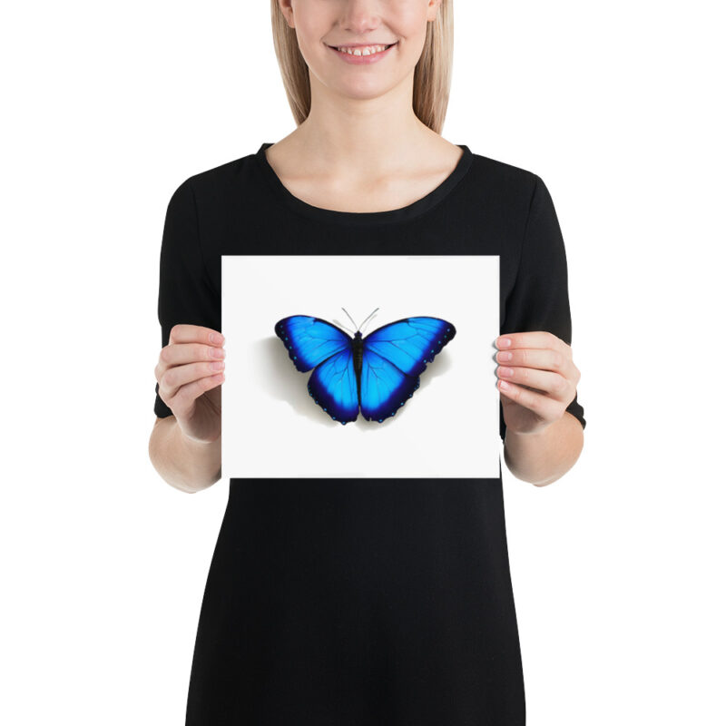 Poster, morpho butterfly, (Morpho peleides) - Image 12