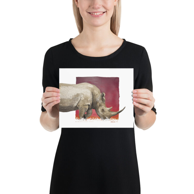 Poster, black rhino, (Diceros bicornis) - Image 12