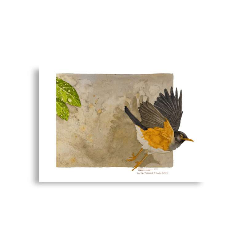 Poster - Image 2