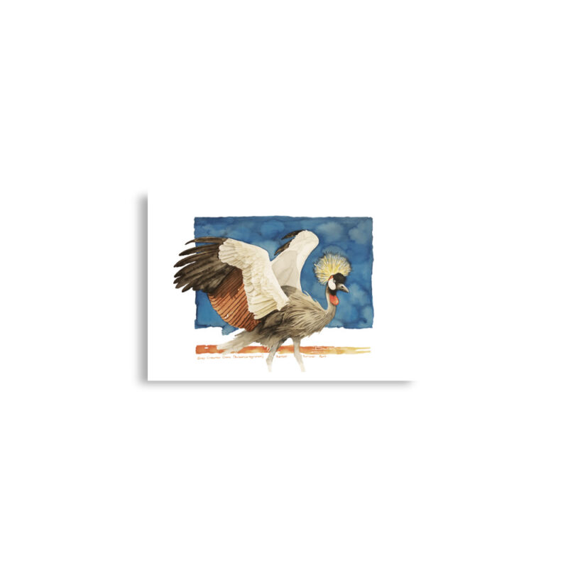 Poster, grey crowned crane, (Balearica regulorum) - Image 3