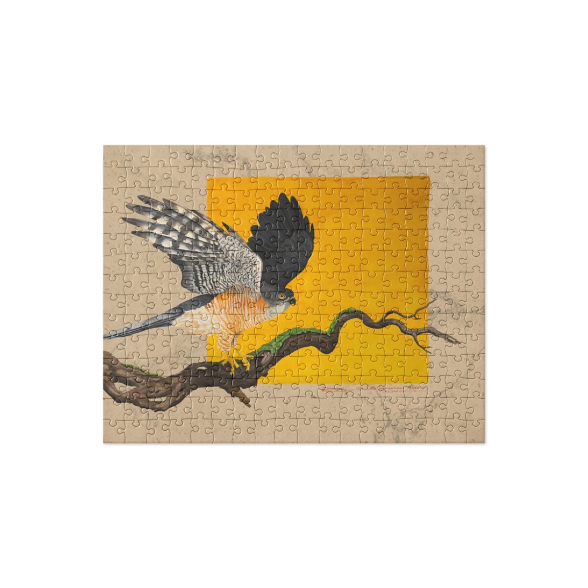 Jigsaw puzzle, "Saxx", th elittle sparrowhawk - Image 2