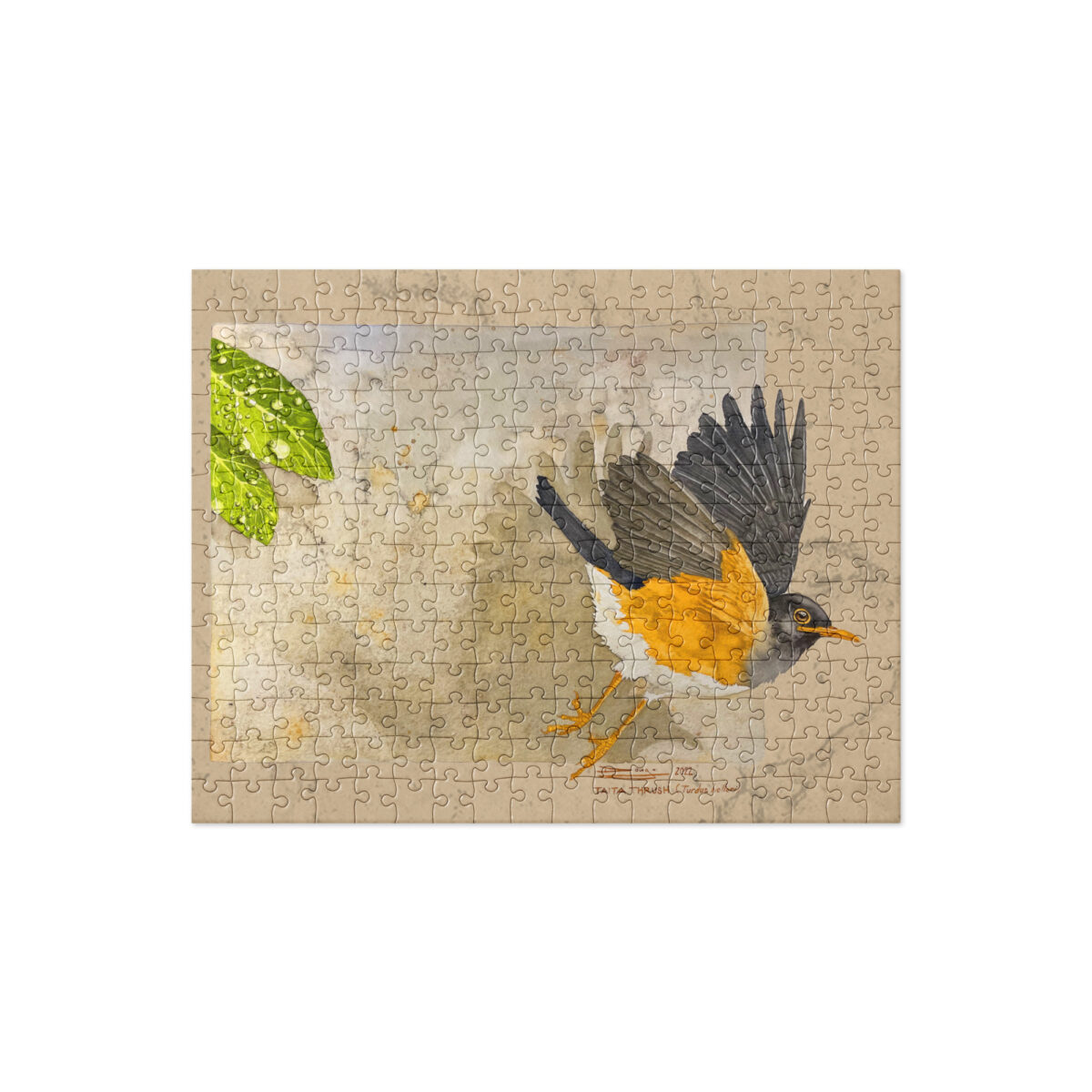 Jigsaw puzzle, Taita thrush - Image 2