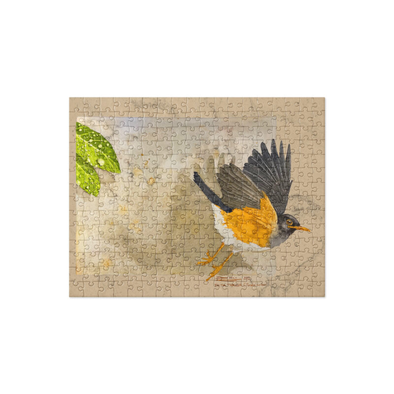 Jigsaw puzzle, Taita thrush - Image 2