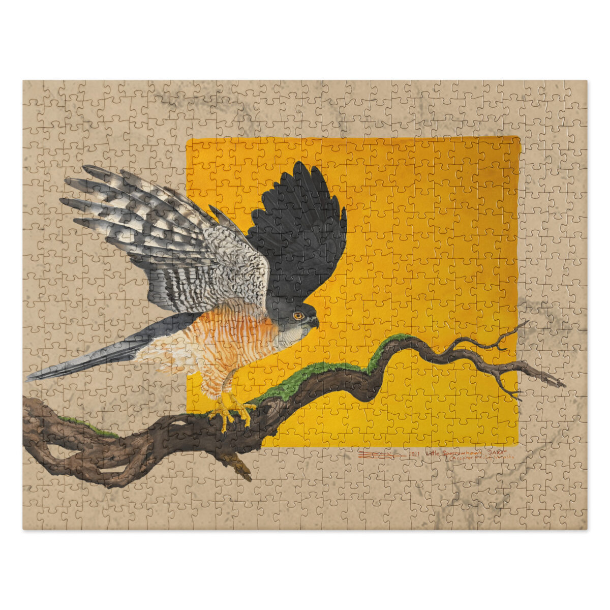 Jigsaw puzzle, "Saxx", th elittle sparrowhawk
