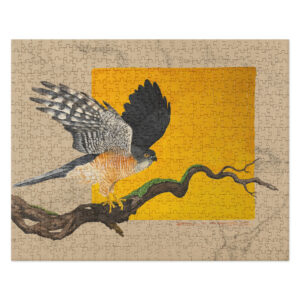 Jigsaw puzzle, "Saxx", th elittle sparrowhawk