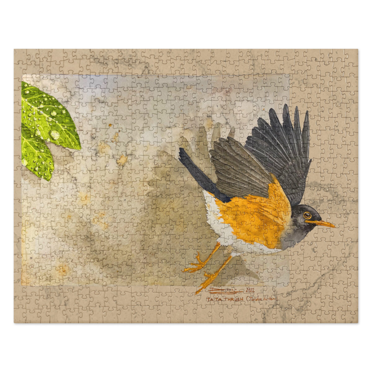 Jigsaw puzzle, Taita thrush