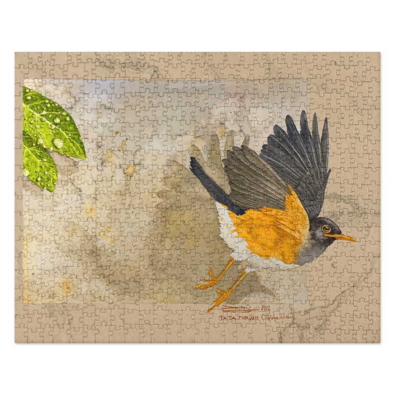 Jigsaw puzzle, Taita thrush