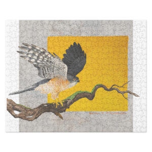 Jigsaw puzzle, "Saxx", the little sparrowhawk