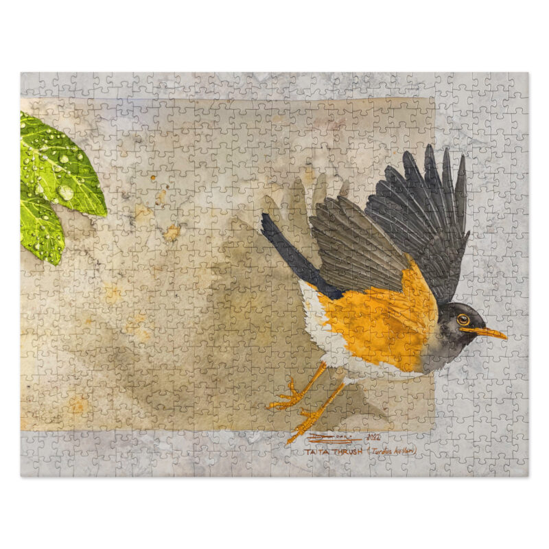 Jigsaw puzzle, Taita thrush - Image 2