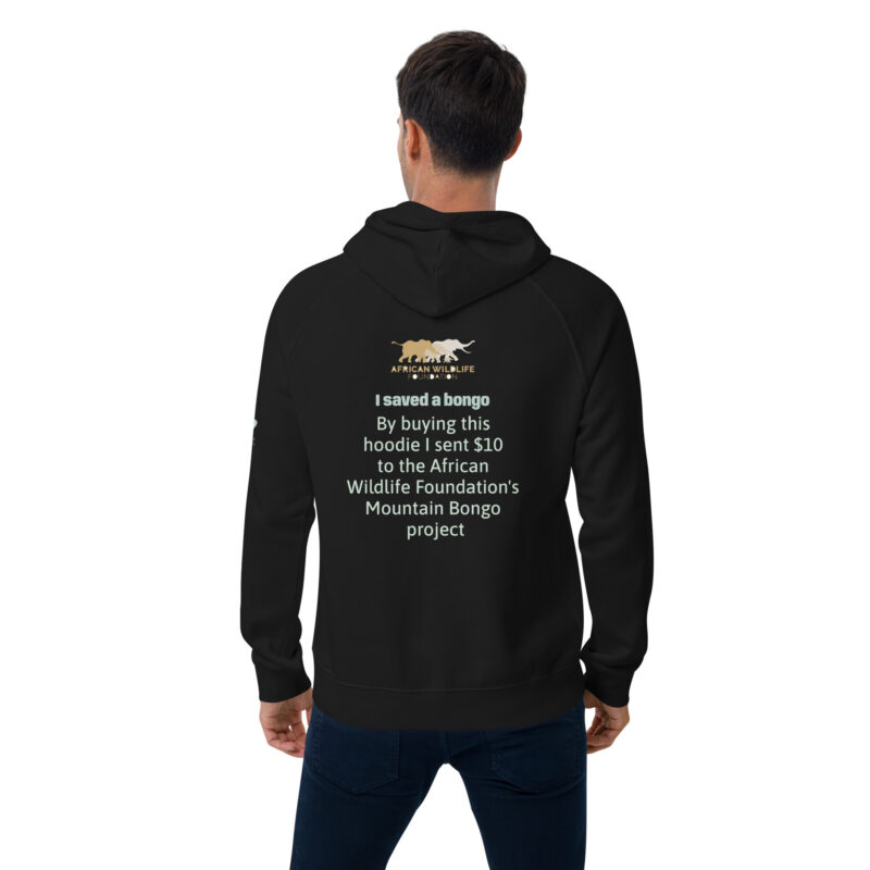 Unisex eco raglan hoodie, save the bongo - Image 5