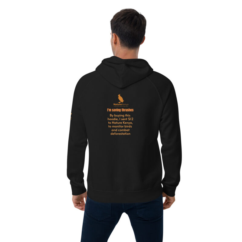 Unisex eco raglan hoodie, Save the Taita thrush - Image 5