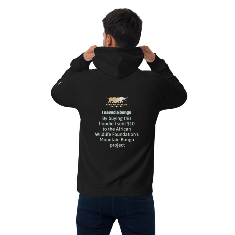 Unisex eco raglan hoodie, save the bongo - Image 4