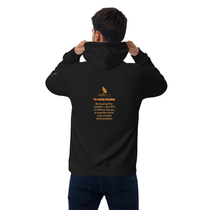 Unisex eco raglan hoodie, Save the Taita thrush - Image 4