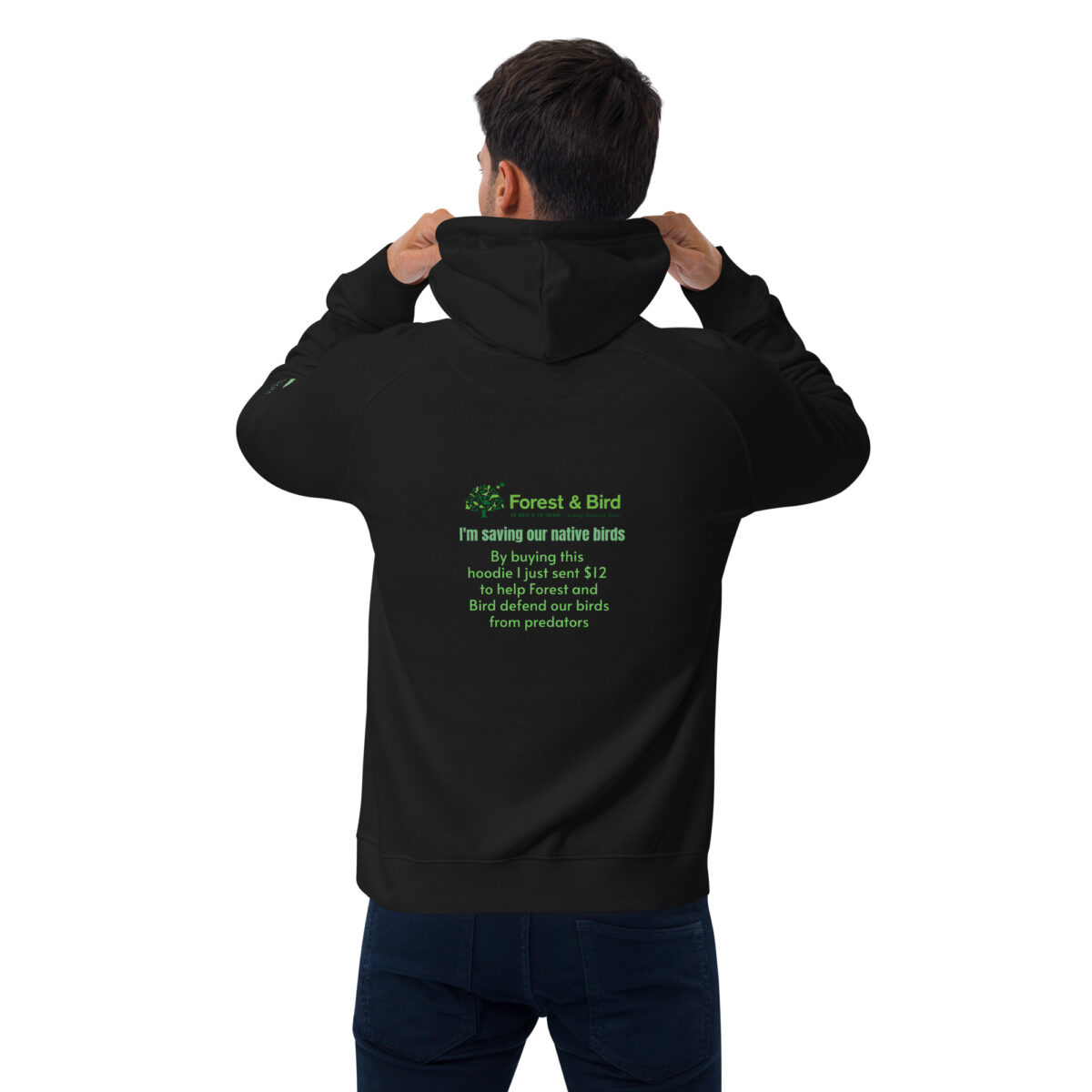 Unisex eco raglan hoodie, save New Zealand's birds (waxeye) - Image 16