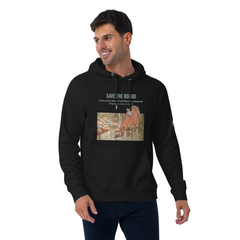 Unisex eco raglan hoodie, save the bongo - Image 2